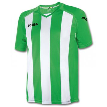 Joma 1202.98.016 Yeşil Pisa Erkek Futbol Forması