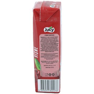 Jucy Vişne 200 ml Meyve Nektarı