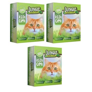 Jungle 3 Adet Kutulu Kedi Çimi