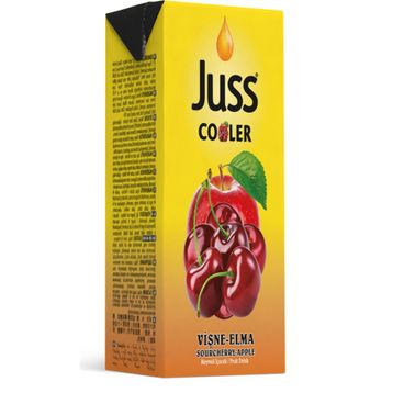 Juss 200 ml Elma ve Vişne Aromalı İçecek