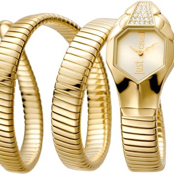 Just Cavalli JC1L022M0025 Kadın Kol Saati