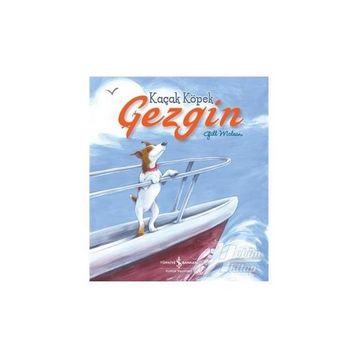 Kaçak Köpek Gezgin - Gill Mclean