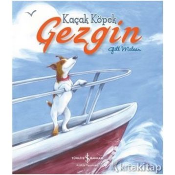 Kaçak Köpek Gezgin - Gill Mclean