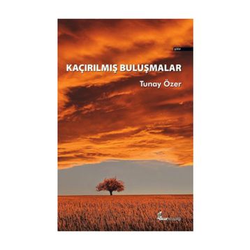 Kaçırılmış Buluşmalar - Tunay Özer