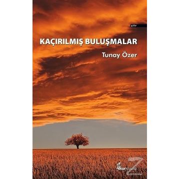 Kaçırılmış Buluşmalar - Tunay Özer