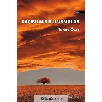 Kaçırılmış Buluşmalar - Tunay Özer