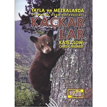Kaçkarlar - Kate Clow Chris Gardner