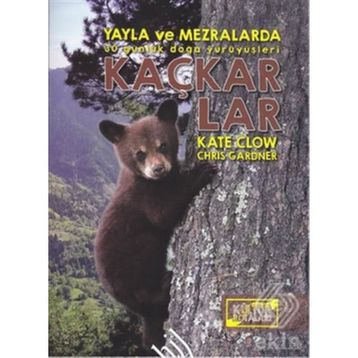Kaçkarlar - Kate Clow Chris Gardner