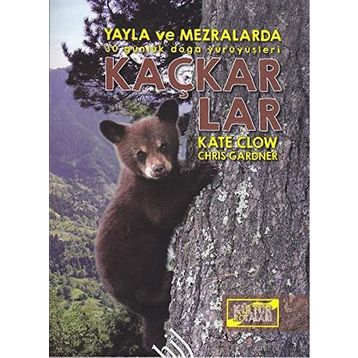 Kaçkarlar - Kate Clow Chris Gardner