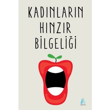 Kadınların Hınzır Bilgeliği - Michelle Lovric