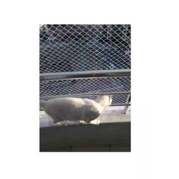 Kadir Tarım 1 mm 2 x 9 Metre Kedi Koruma Balkon Güvenlik Filesi