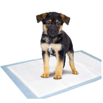 Kaixin Large 60x60 cm 40 Adet Köpek Tuvalet Çiş Eğitim Pedi
