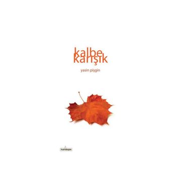 Kalbe Karışık - Yasin Pişgin