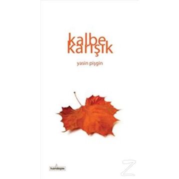 Kalbe Karışık - Yasin Pişgin