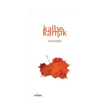 Kalbe Karışık - Yasin Pişgin