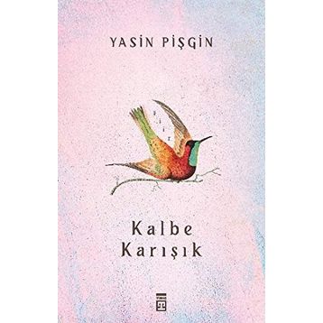 Kalbe Karışık - Yasin Pişgin
