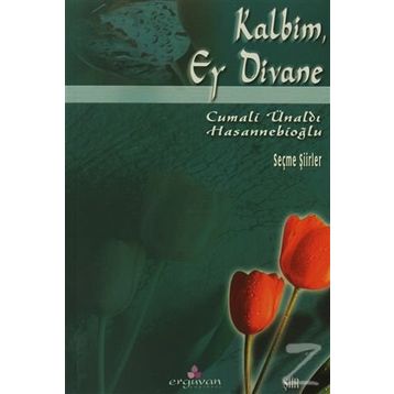 KALBIM EY DIVANE - CUMALI ÜNALDI HASANNEBİOĞLU