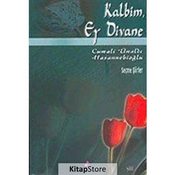 KALBIM EY DIVANE - CUMALI ÜNALDI HASANNEBİOĞLU