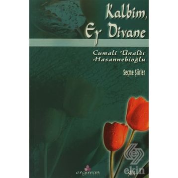KALBIM EY DIVANE - CUMALI ÜNALDI HASANNEBİOĞLU