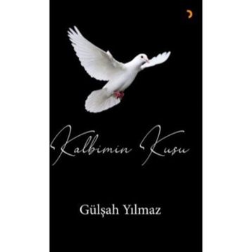 Kalbimin Kuşu - Gülşah Yılmaz - Cinius Yayınları