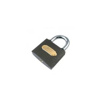 Kale 30 mm Gri Asma Kilit