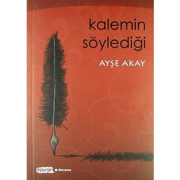 KALEMIN SÖYLEDIĞI - AYŞE AKAY