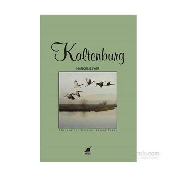 Kaltenburg - Marcel Beyer