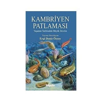 Kambriyen Patlaması - Ergi Deniz Özsoy