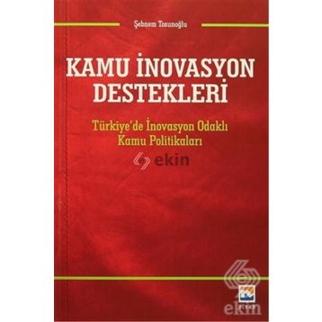 Kamu İnovasyon Destekleri - Şebnem Tosunoğlu