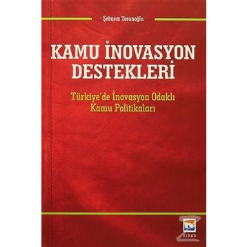 Kamu İnovasyon Destekleri - Şebnem Tosunoğlu