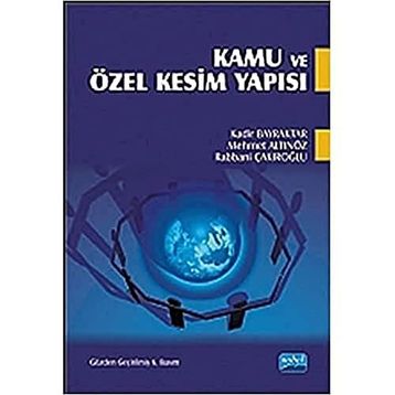 KAMU VE ÖZEL KESIM YAPISI - KOLEKTIF