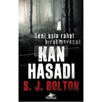 Kan Hasadı - S. J. Bolton