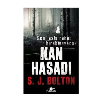 Kan Hasadı - S. J. Bolton