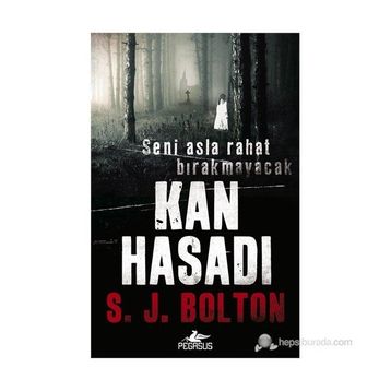 Kan Hasadı - S. J. Bolton