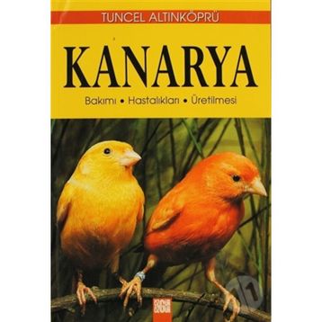 KANARYA - PSIKOLOG TUNCEL ALTINKÖPRÜ