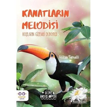 Kanatların Melodisi - Hülya Temelli