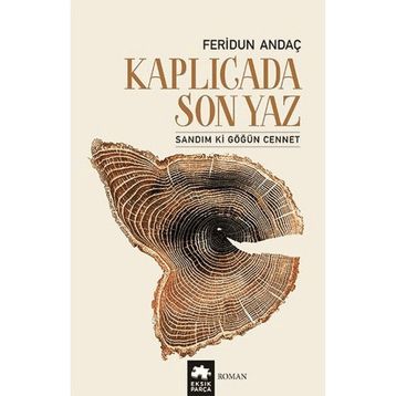 Kaplıcada Son Yaz - Feridun Andaç