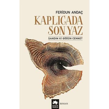 Kaplıcada Son Yaz - Feridun Andaç
