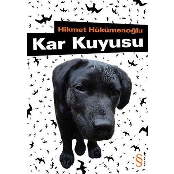 Kar Kuyusu - Hikmet Hükümenoğlu