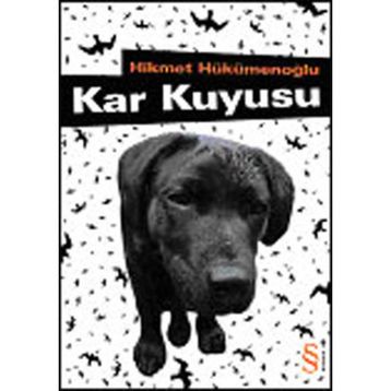 Kar Kuyusu - Hikmet Hükümenoğlu