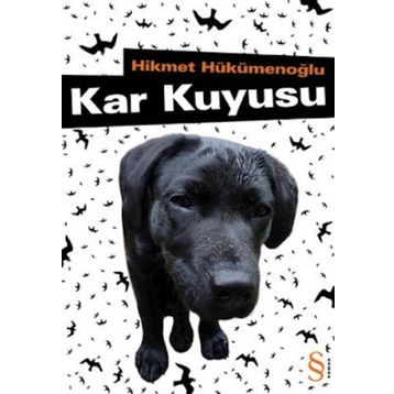 Kar Kuyusu - Hikmet Hükümenoğlu