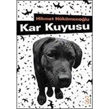 Kar Kuyusu - Hikmet Hükümenoğlu