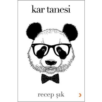 Kar Tanesi - Sevil Kar - Cinius Yayınları