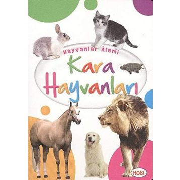 Kara Hayvanları - Heyet-Kurul-Komisyon