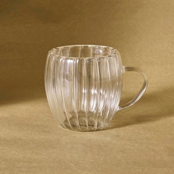 Karaca Pia Alya 240 ML Çift Cidarlı Mug