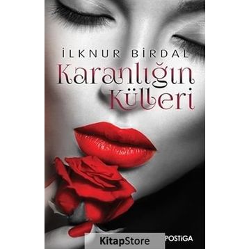 Karanlığın Külleri - İlknur Birdal