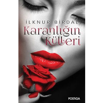 Karanlığın Külleri - İlknur Birdal