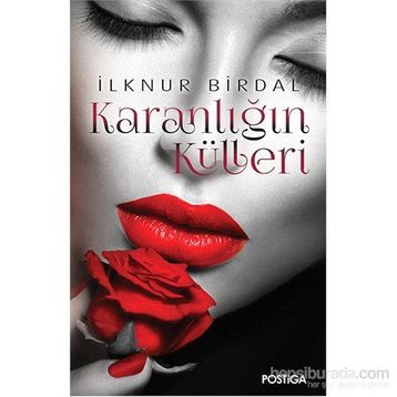 Karanlığın Külleri - İlknur Birdal