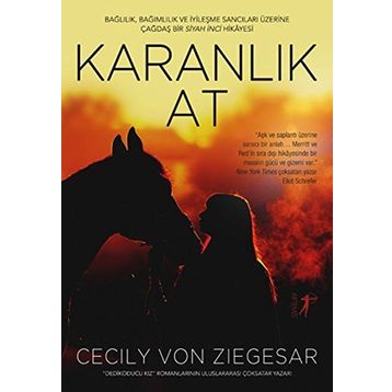 Karanlık At - cecily von ziegeser