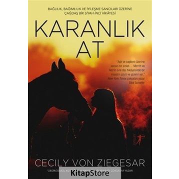 Karanlık At - cecily von ziegeser